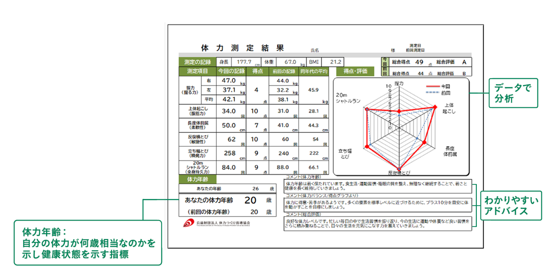 体力測定結果の見本